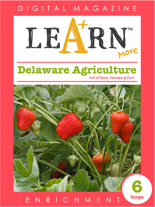 Delaware Agriculture