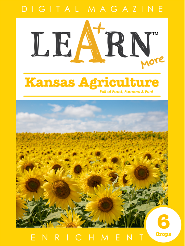 Kansas Agriculture