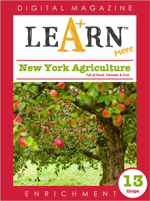 New York Agriculture