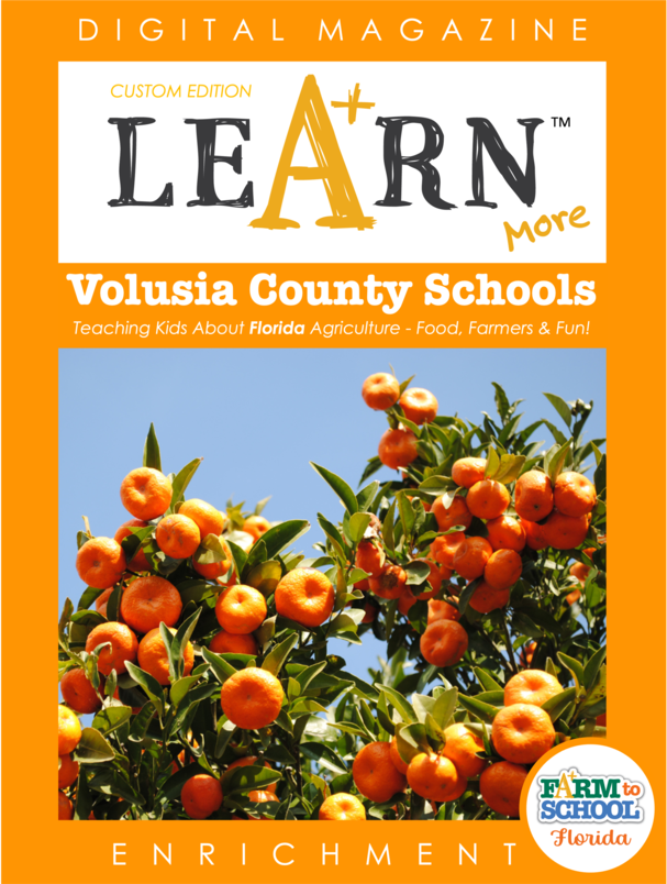 Volusia County School