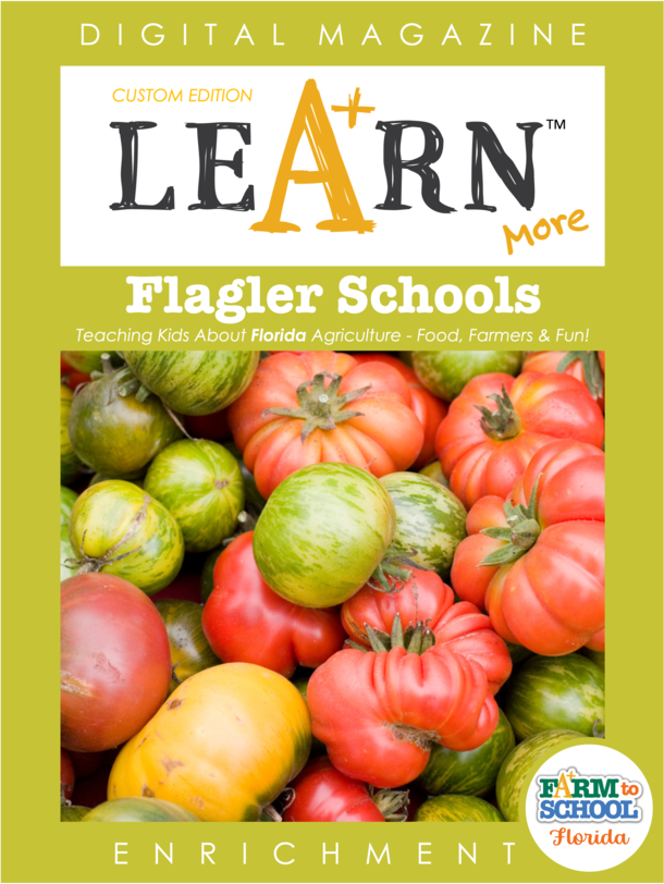 Flagler Schools